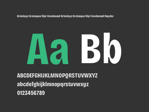 Bricolage Grotesque 10pt Condensed Bricolage Grotesque 10pt Condensed Regular