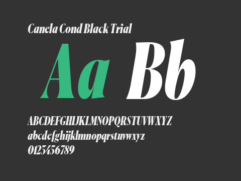 Canela Cond Black Trial