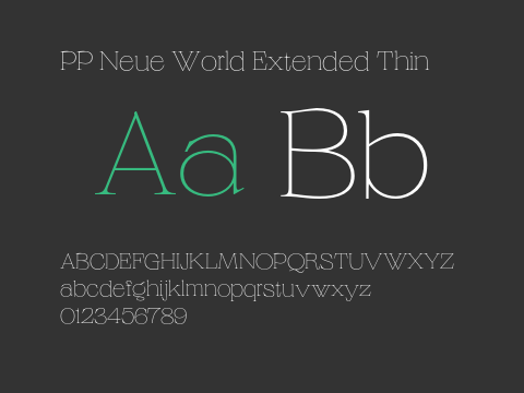 PP Neue World Extended Thin