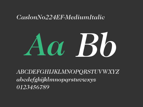 CaslonNo224EF-MediumItalic