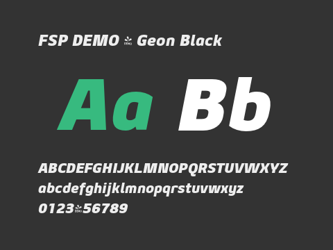 FSP DEMO - Geon Black