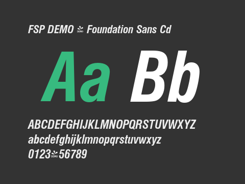 FSP DEMO - Foundation Sans Cd