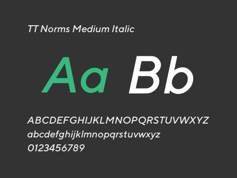 TT Norms Medium Italic