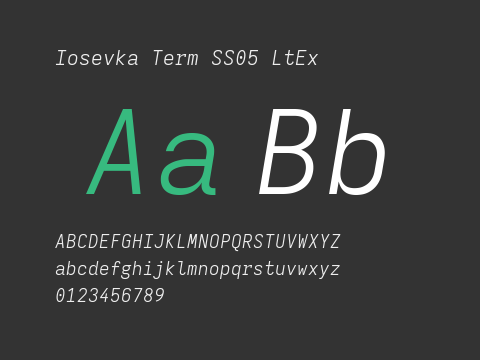 Iosevka Term SS05 LtEx