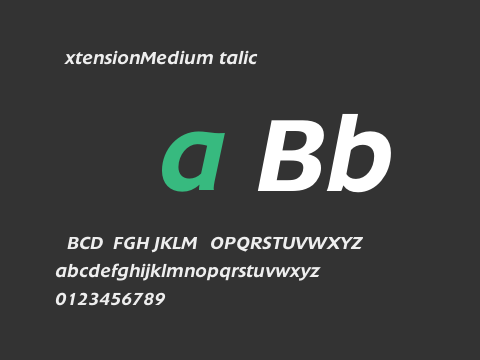 ExtensionMediumItalic