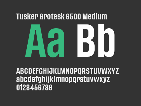 Tusker Grotesk 6500 Medium