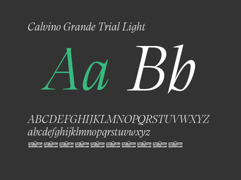 Calvino Grande Trial Light