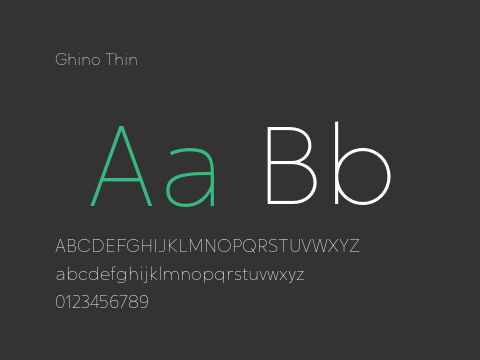 Ghino Thin