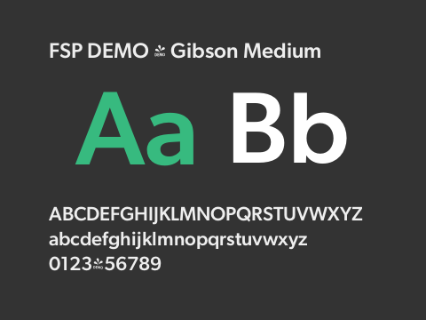 FSP DEMO - Gibson Medium