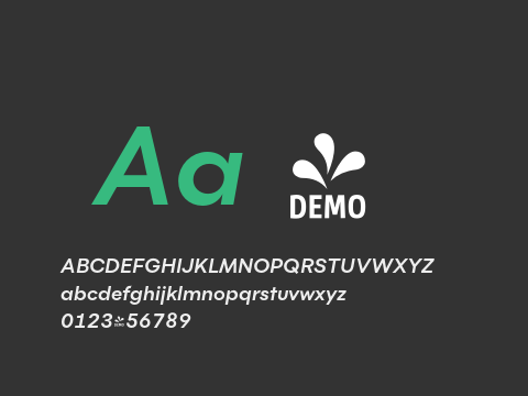 FSP DEMO - Flink Bold Italic