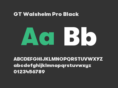 GT Walsheim Pro Black