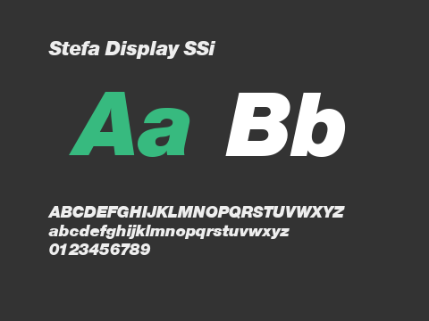 Stefa Display SSi