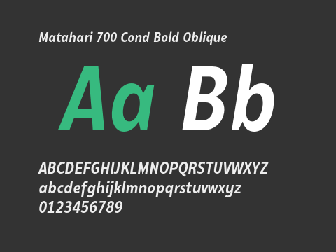 Matahari 700 Cond Bold Oblique