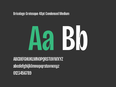 Bricolage Grotesque 48pt Condensed Medium