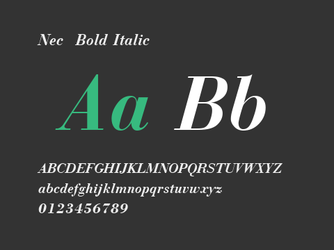 Nec  Bold Italic