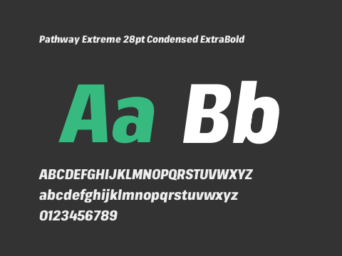 Pathway Extreme 28pt Condensed ExtraBold