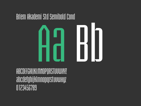 Briem Akademi Std Semibold Cond