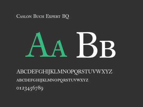 Caslon Buch Expert BQ