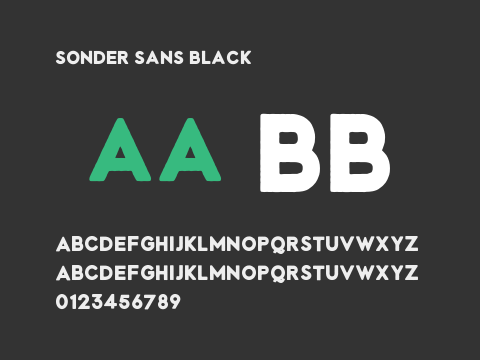 Sonder Sans Black