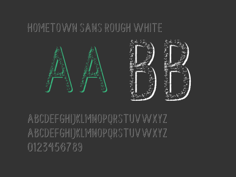 Hometown Sans Rough White