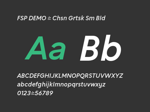 FSP DEMO - Chsn Grtsk Sm Bld