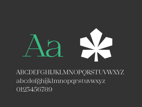 KyivType Serif3