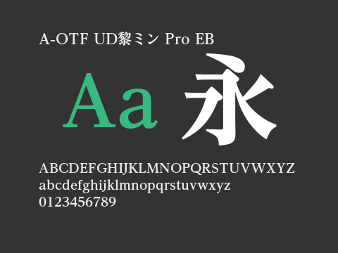 A-OTF UD黎ミン Pro EB