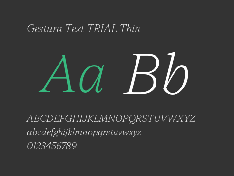 Gestura Text TRIAL Thin