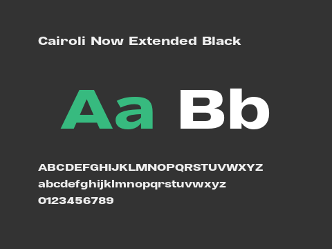 Cairoli Now Extended Black