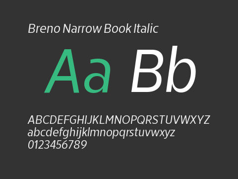 Breno Narrow Book Italic