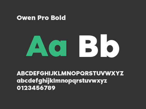 Owen Pro Bold