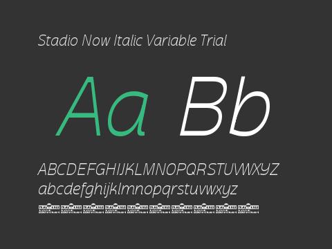 Stadio Now Italic Variable Trial