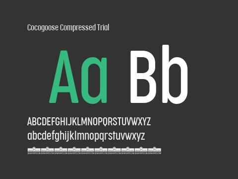 Cocogoose Compressed Trial