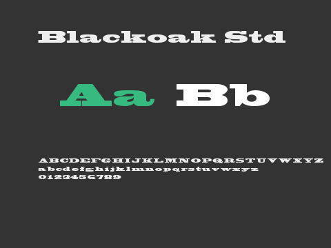 Blackoak Std