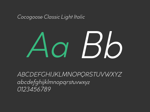 Cocogoose Classic Light Italic