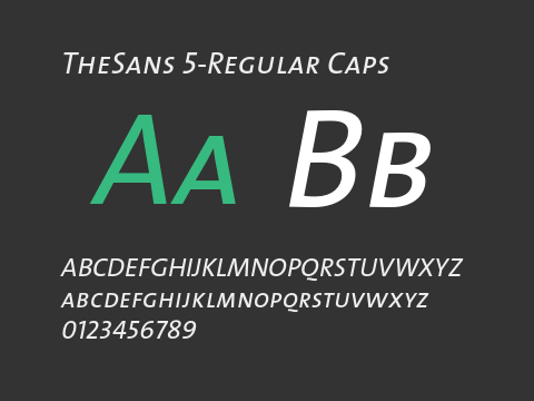 TheSans 5-Regular Caps