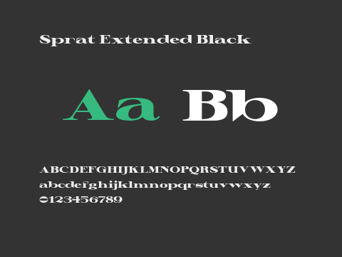 Sprat Extended Black