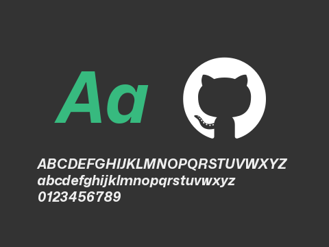 Mona-Sans Bold Italic