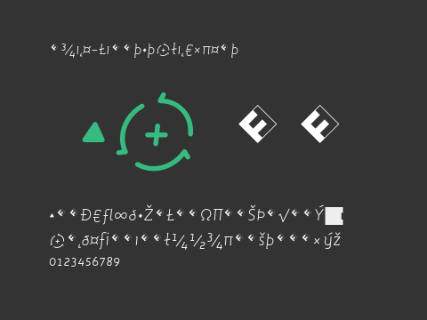 Roice-LightItalicExpert