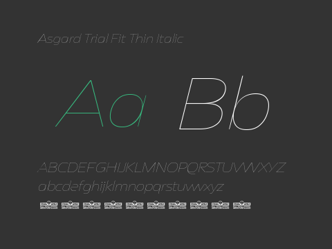 Asgard Trial Fit Thin Italic