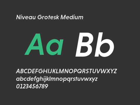 Niveau Grotesk Medium